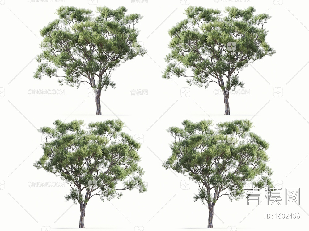景观树3D模型下载【ID:1602456】