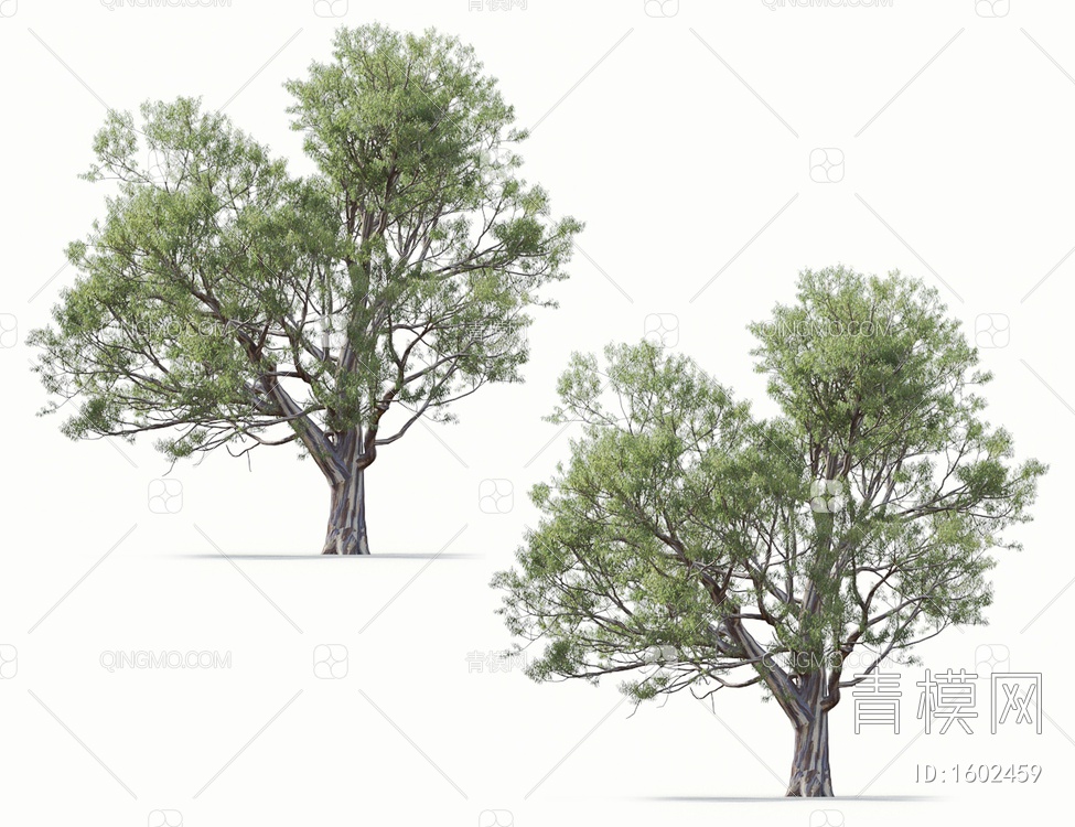 景观树3D模型下载【ID:1602459】