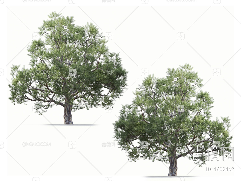 景观树3D模型下载【ID:1602462】