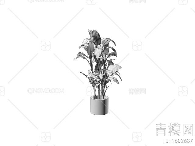 绿色植物 盆栽3D模型下载【ID:1602687】