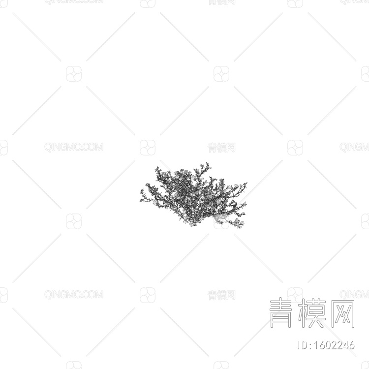 Lobelia erinus 室外花草 绿植3D模型下载【ID:1602246】