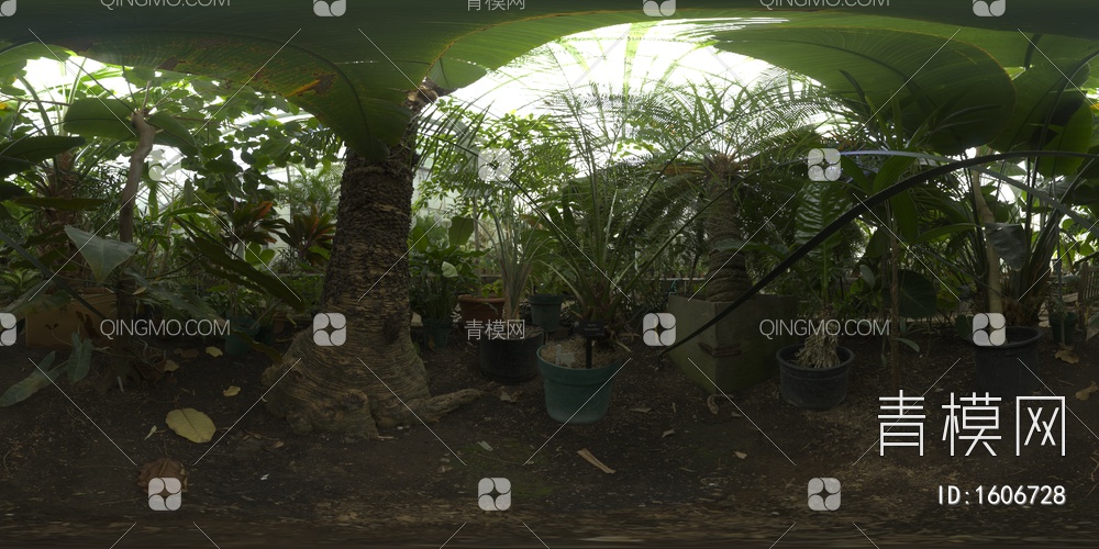 温室植物HDR贴图贴图下载【ID:1606728】