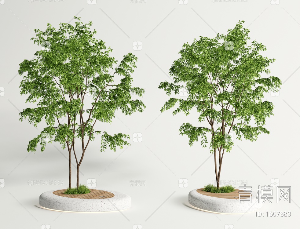 景观树 乔木 树池 庭院树3D模型下载【ID:1607883】