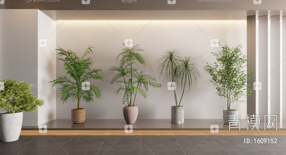 盆栽植物3D模型下载【ID:1609152】