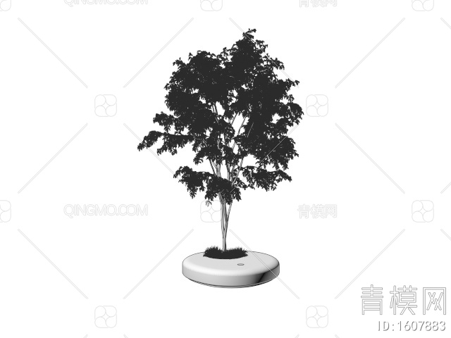 景观树 乔木 树池 庭院树3D模型下载【ID:1607883】