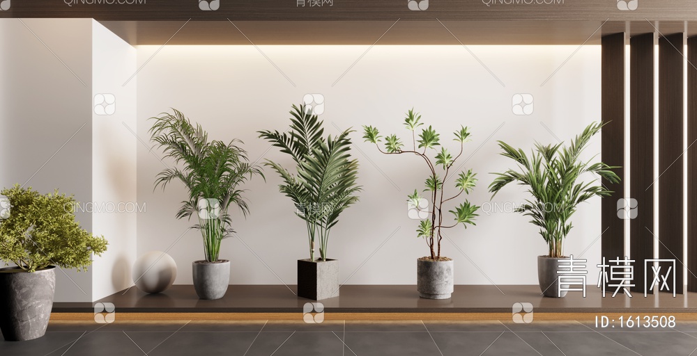 盆栽植物，植物，盆栽3D模型下载【ID:1613508】