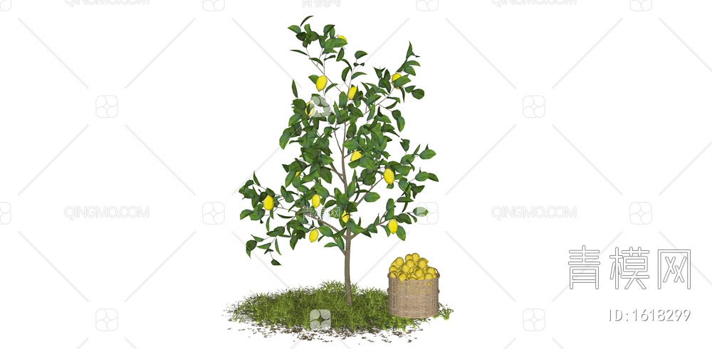 果树乔木 柠檬树 橘子树 景观树 盆栽植物 果树SU模型下载【ID:1618299】