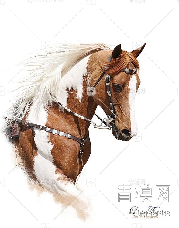 现代马装饰画贴图下载【ID:1621848】
