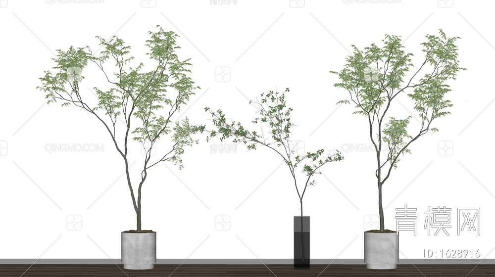 盆栽植物 绿植 花盆 盆景 植物组合SU模型下载【ID:1628916】