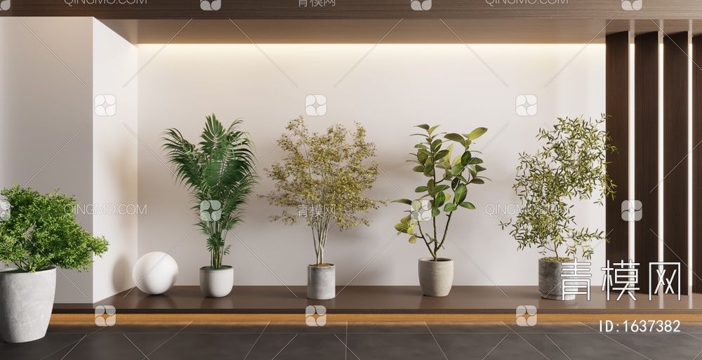 盆栽植物，盆栽，盆栽树，花盆3D模型下载【ID:1637382】