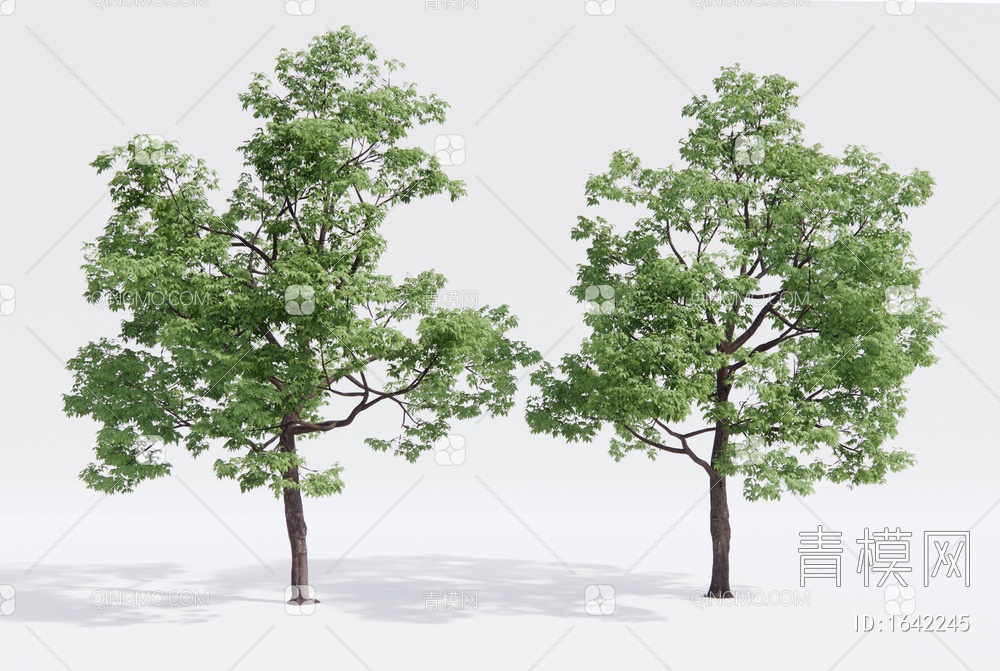 景观树 乔木 造景树 行道树SU模型下载【ID:1642245】