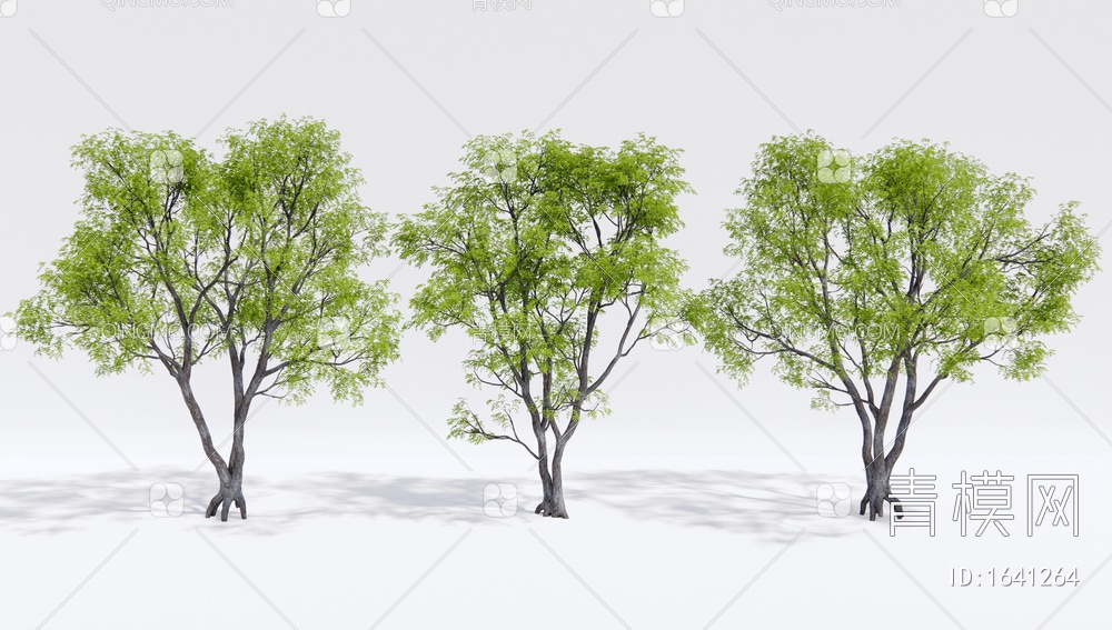 景观树 乔木 槐树 鸡爪槭 枫树3D模型下载【ID:1641264】