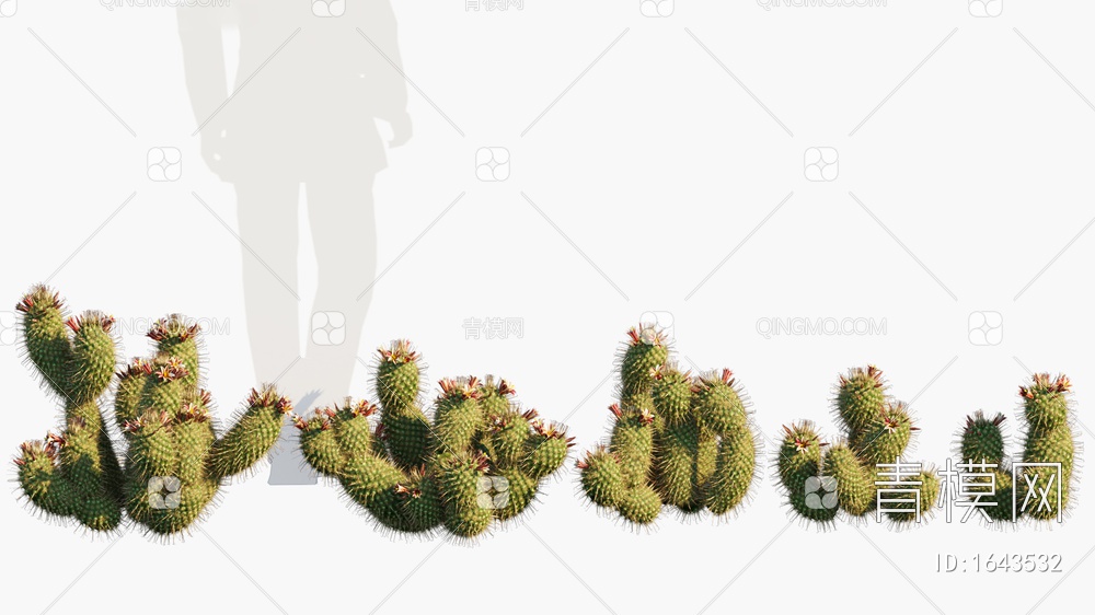 Mammillaria 矮型仙人球3D模型下载【ID:1643532】