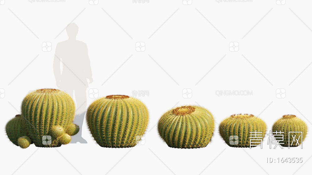 Echinocactus圆球仙人球3D模型下载【ID:1643535】