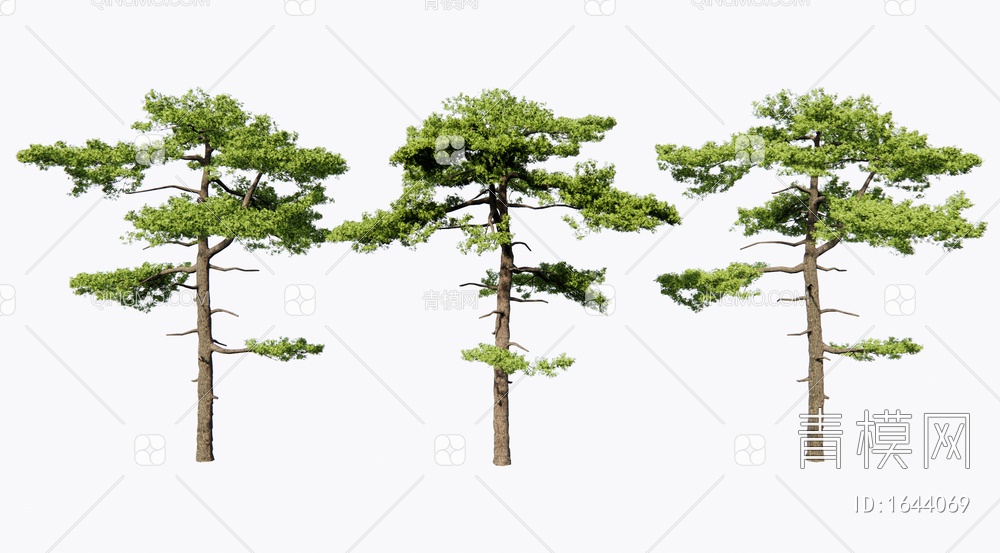 迎客松 景观树 松树 庭院造景树3D模型下载【ID:1644069】