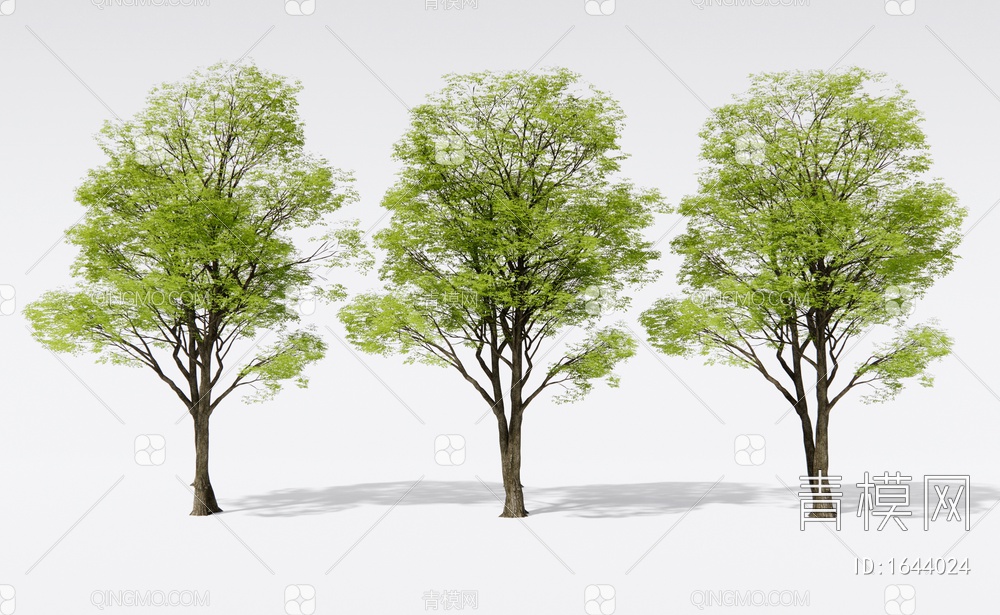 景观树3D模型下载【ID:1644024】