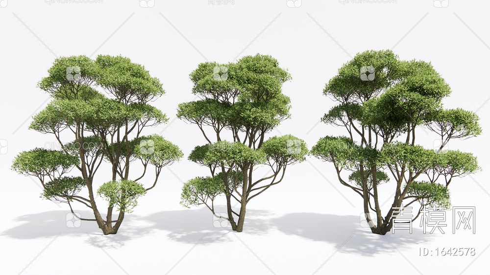 景观树 松树 乔木SU模型下载【ID:1642578】