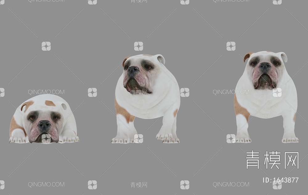宠物狗3D模型下载【ID:1643877】
