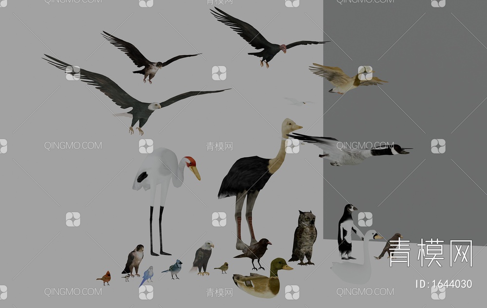 鸟类动物组合3D模型下载【ID:1644030】