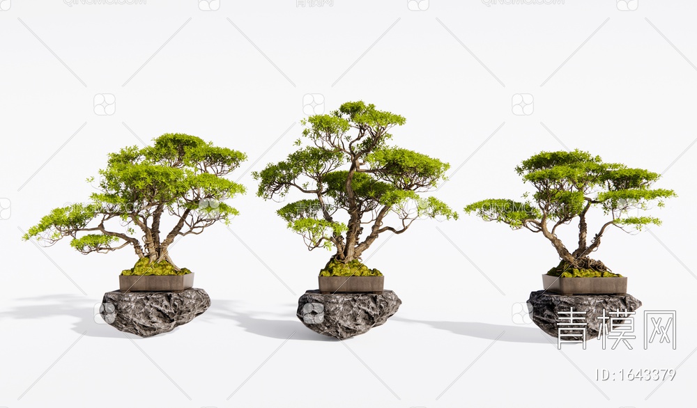 树木植物盆栽 松树盆景 景观树 景观石头SU模型下载【ID:1643379】