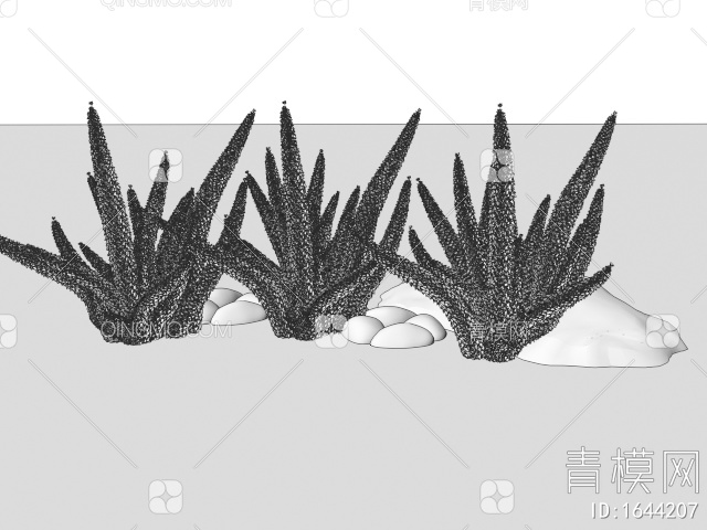 狐尾天门冬 花草 花境植物 庭院植物 植物景观3D模型下载【ID:1644207】