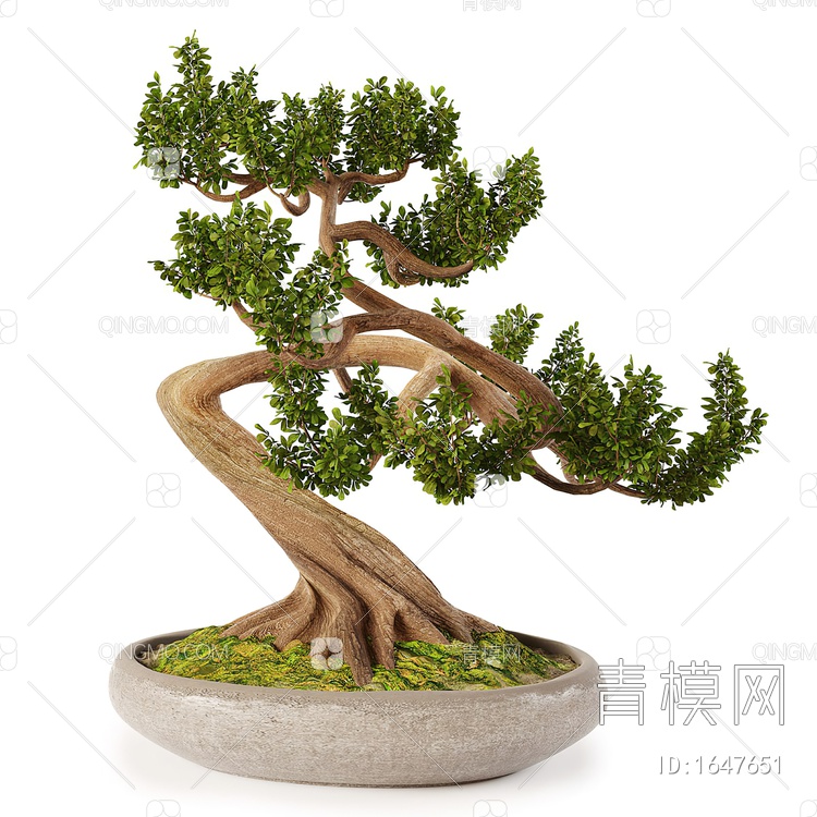 盆栽3D模型下载【ID:1647651】