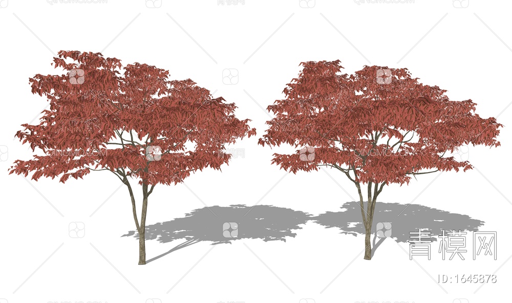 红枫造景树 景观树 庭院专用红枫 乔木SU模型下载【ID:1645878】
