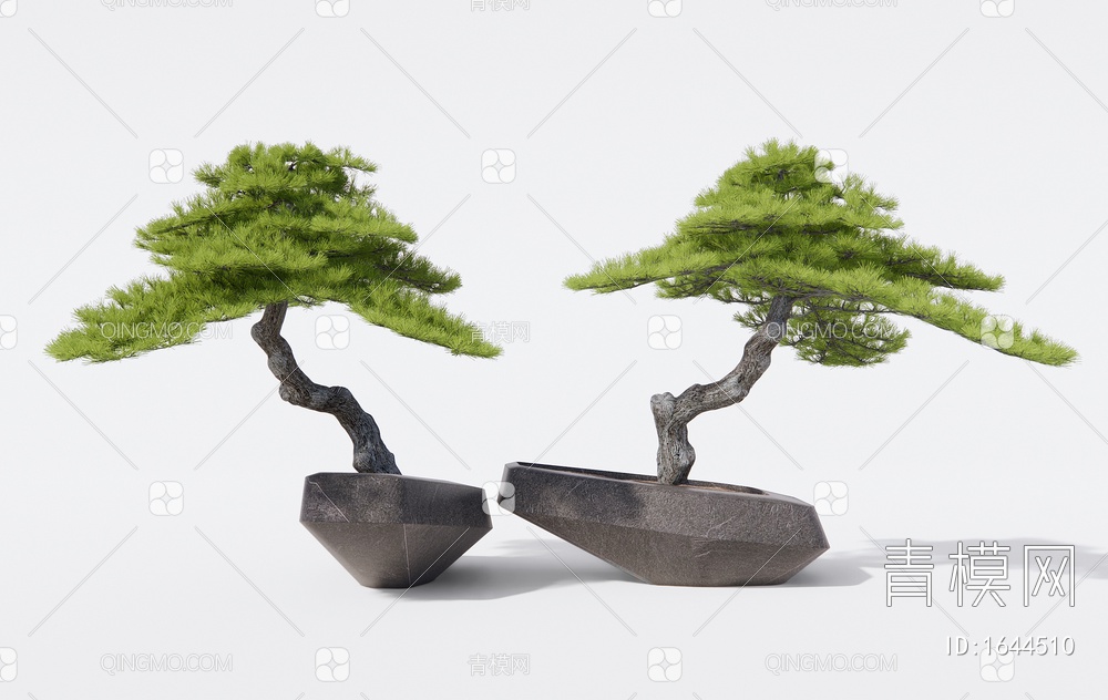 松树盆栽 柏松盆景 石头3D模型下载【ID:1644510】