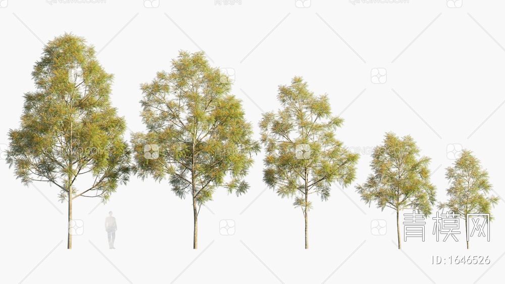景观树3D模型下载【ID:1646526】