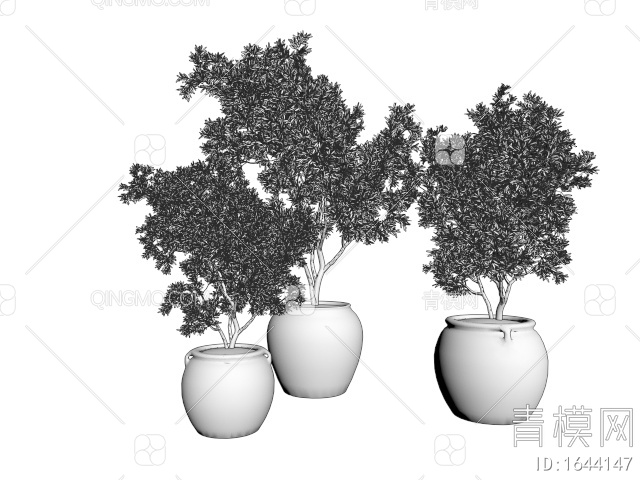 植物盆栽 树木盆景 乔木 绿植植物3D模型下载【ID:1644147】