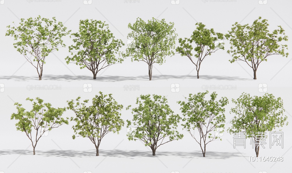 景观树 乔木 行道树 庭院造景树 树木组合SU模型下载【ID:1645248】