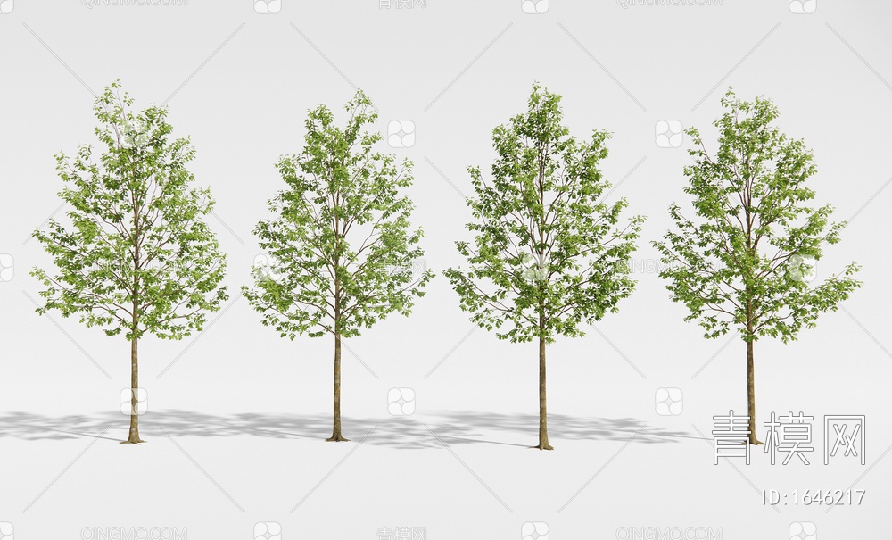 景观树 乔木 行道树 庭院造景树3D模型下载【ID:1646217】
