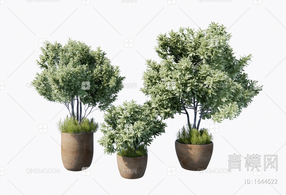 植物盆栽 乔木3D模型下载【ID:1644522】