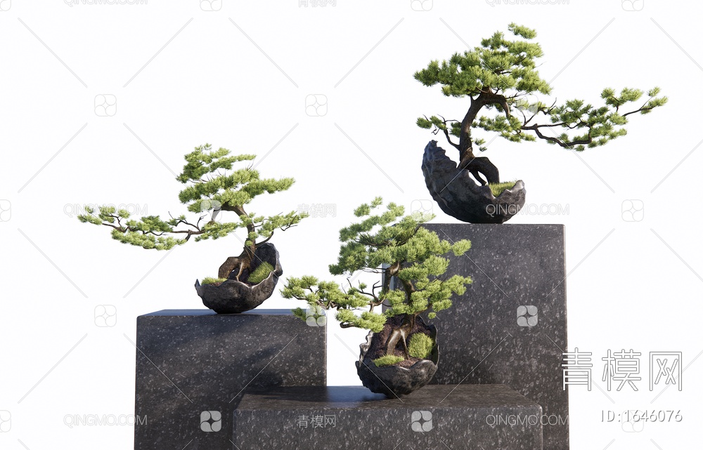 松树盆景 松树盆栽 造型松3D模型下载【ID:1646076】