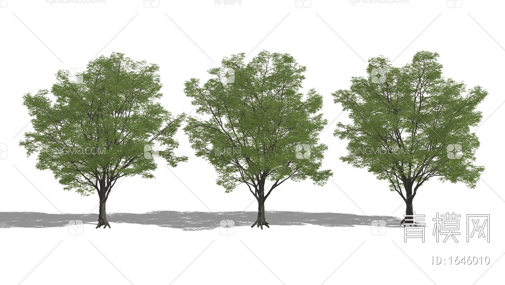 景观树 乔木 园林专用造景树 行道树SU模型下载【ID:1646010】