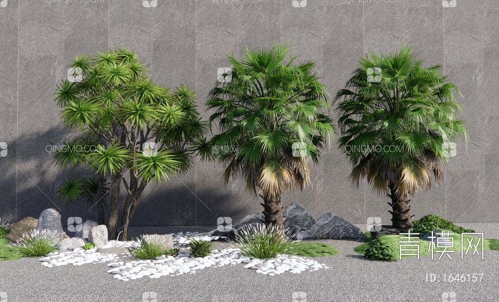 棕榈树 热带景观树3D模型下载【ID:1646157】