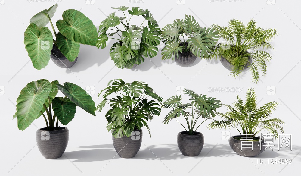 植物盆栽 热带绿植 龟背叶3D模型下载【ID:1644582】