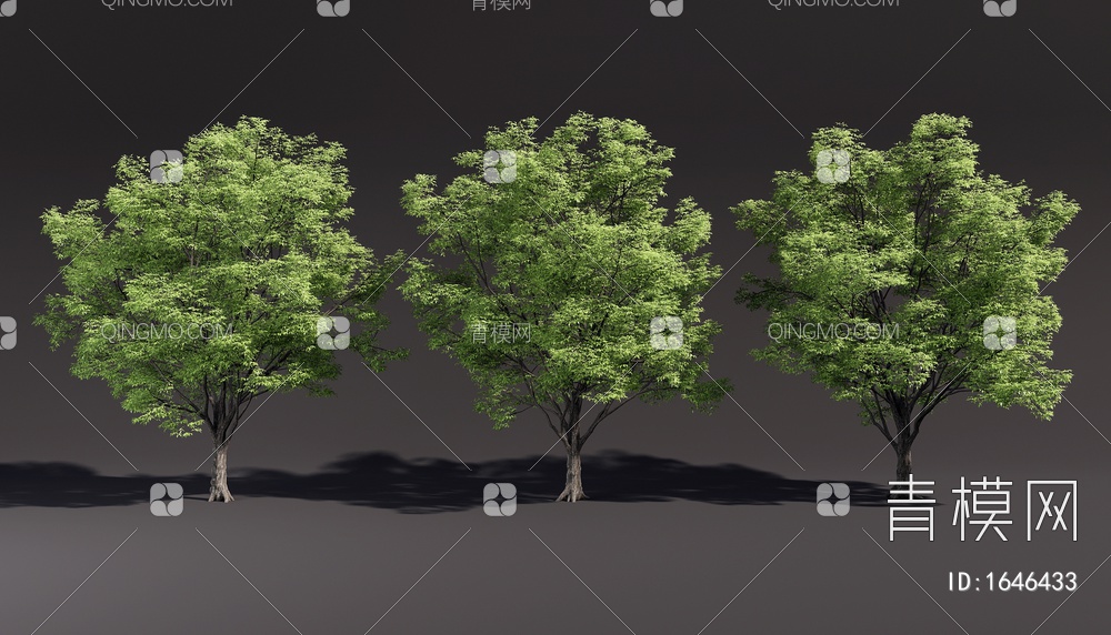 景观树 乔木 园林专用造景树 行道树3D模型下载【ID:1646433】