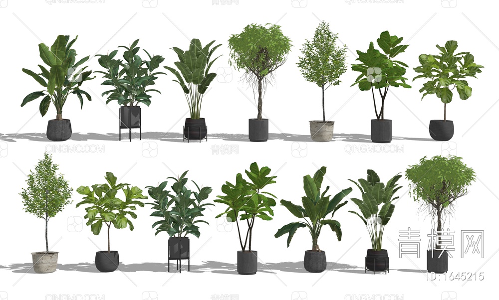 植物盆栽组合 绿植盆栽 阳台植物 室内植物SU模型下载【ID:1645215】