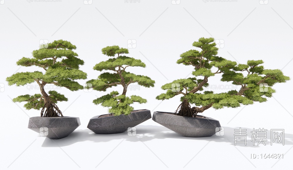 松树盆栽 迎客松盆景 柏松 景观树 石头SU模型下载【ID:1644891】