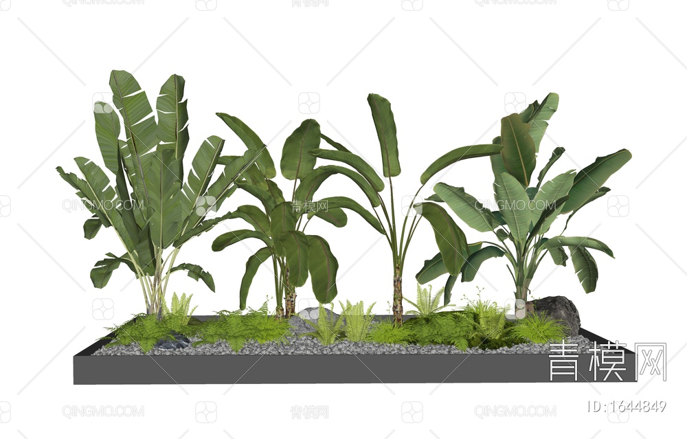 芭蕉植物 热带植物 绿植 花草 肾蕨 植物组合SU模型下载【ID:1644849】