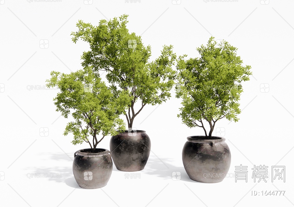 植物盆栽 树木盆景 乔木 绿植植物SU模型下载【ID:1644777】