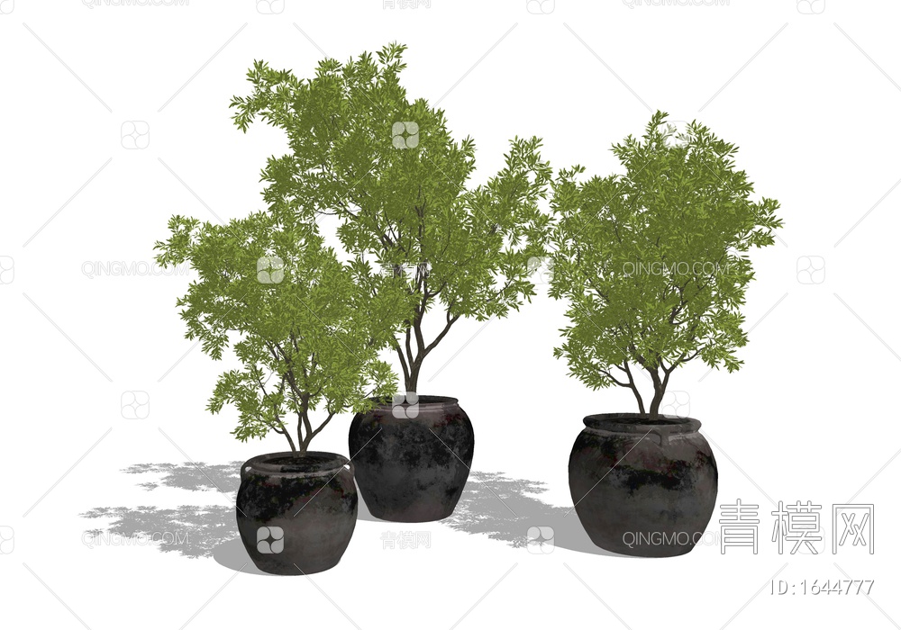 植物盆栽 树木盆景 乔木 绿植植物SU模型下载【ID:1644777】