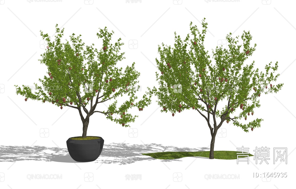 景观树 乔木 植物盆栽 石榴树SU模型下载【ID:1645935】