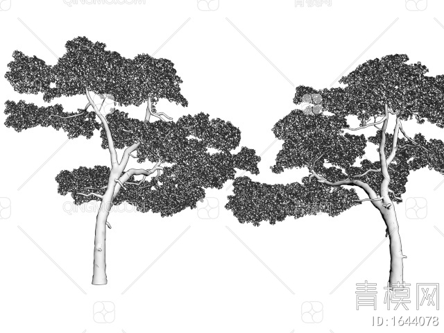 庭院松树 造景景观观树 乔木 园林树3D模型下载【ID:1644078】