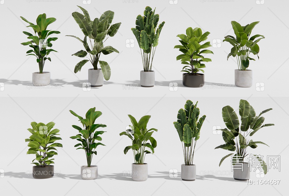 绿植盆栽 植物盆景 植物组合 阳台绿植3D模型下载【ID:1644687】