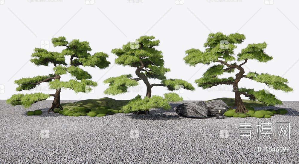 庭院造景松树 景观树 乔木3D模型下载【ID:1646097】
