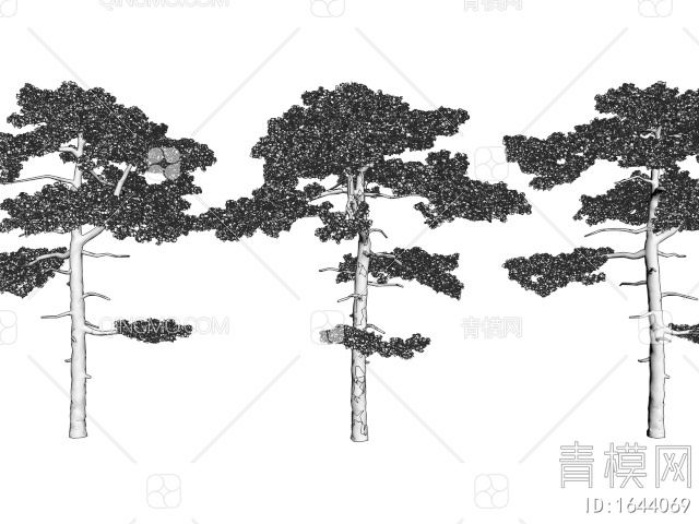 迎客松 景观树 松树 庭院造景树3D模型下载【ID:1644069】