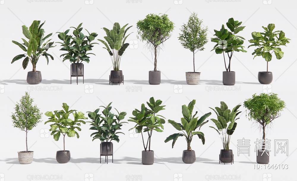 植物盆栽组合 绿植盆栽 阳台植物 室内植物3D模型下载【ID:1646103】