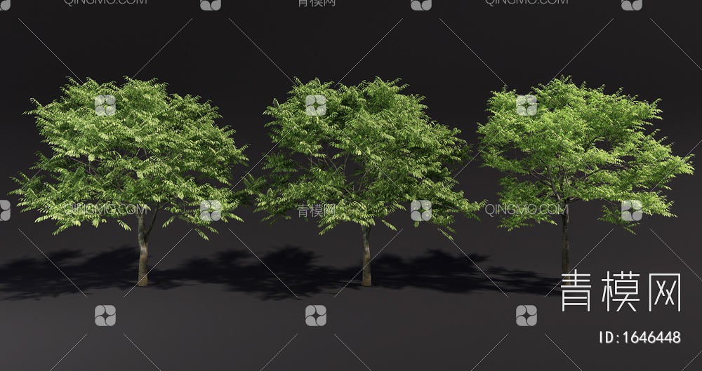 景观树 庭院专用造景树 行道树 庭院树 乔木3D模型下载【ID:1646448】